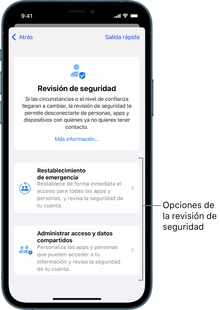 Pantalla mostrando las dos opciones disponibles con la revisión de seguridad: el restablecimiento de emergencia y la opción de administrar accesos y datos compartidos.