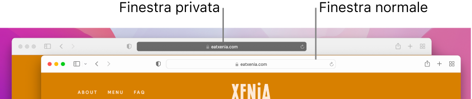 Una finestra normale di Safari su un Mac, con il campo di ricerca smart chiaro, e una finestra privata di Safari, con il campo di ricerca smart scuro.