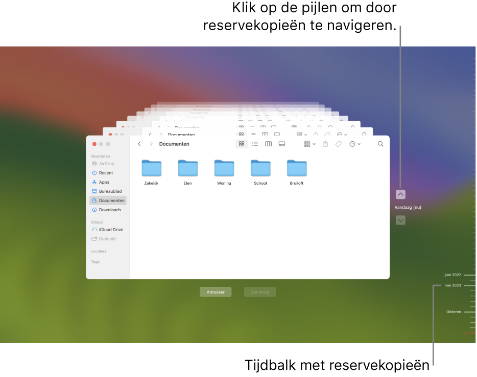 Maatstreepjes op de tijdbalk met reservekopieën. Het rode streepje geeft de reservekopie aan waarin je bladert.