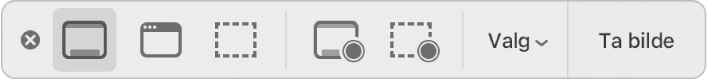 Verktøyene i Skjermbilde-appen.