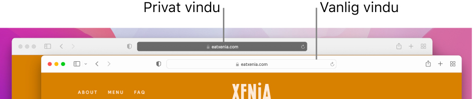 Et vanlig Safari-vindu med lyst Smart søkefelt på en Mac, og et privat Safari-vindu med mørkt Smart søkefelt.