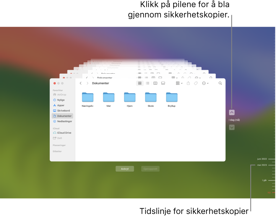 Avkrysningsmerker i tidslinjen for sikkerhetskopier. Det røde avkrysningsmerket viser sikkerhetskopien du ser gjennom.