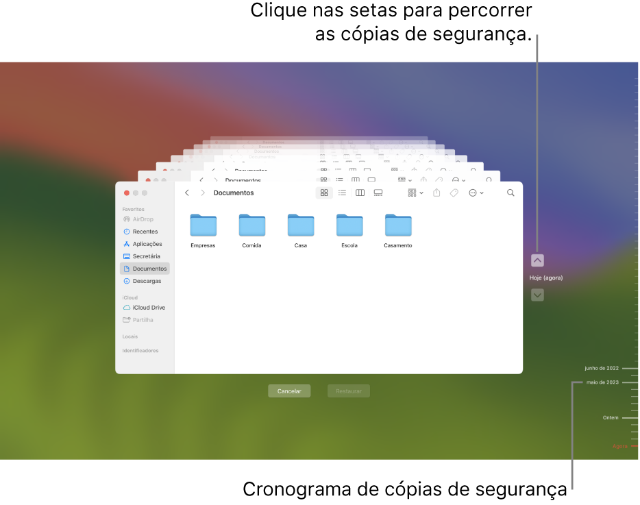 Marcas no cronograma da cópia de segurança. A marca vermelha indica a cópia de segurança que está a explorar.