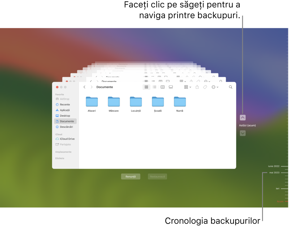 Marcaje de gradație în cronologia backupului. Marcajul roșu indică backupul pe care îl explorați.