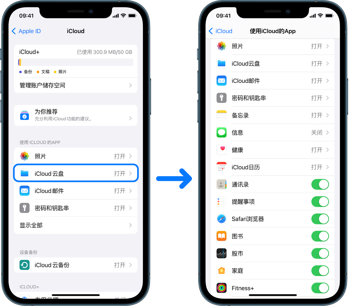 iPhone 显示已登录的 Apple ID 账户，其中多项 iCloud 服务已打开。