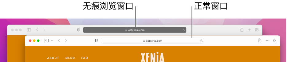 Mac 上的 Safari 浏览器常规窗口，其智能搜索栏为浅色；以及 Safari 浏览器无痕浏览窗口，其智能搜索栏为深色。