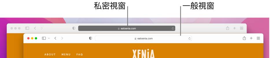 Mac 上顯示其淺色「智慧型搜尋」欄位的一般 Safari 視窗，以及顯示其深色「智慧型搜尋」欄位的私密 Safari 視窗。