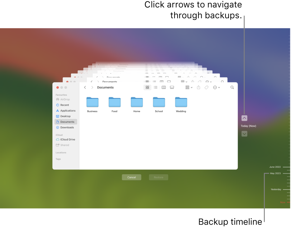 Tick marks in the backup timeline. The red tick mark indicates the backup you’re browsing.