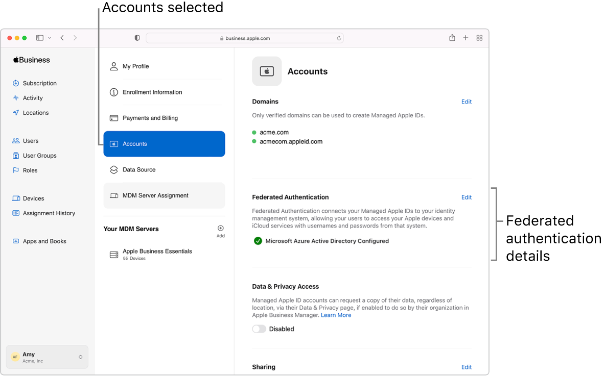 The Apple Business Manager window with Settings selected in the sidebar. The Accounts pane shows a signed-in user with federated authentication configured and enabled.