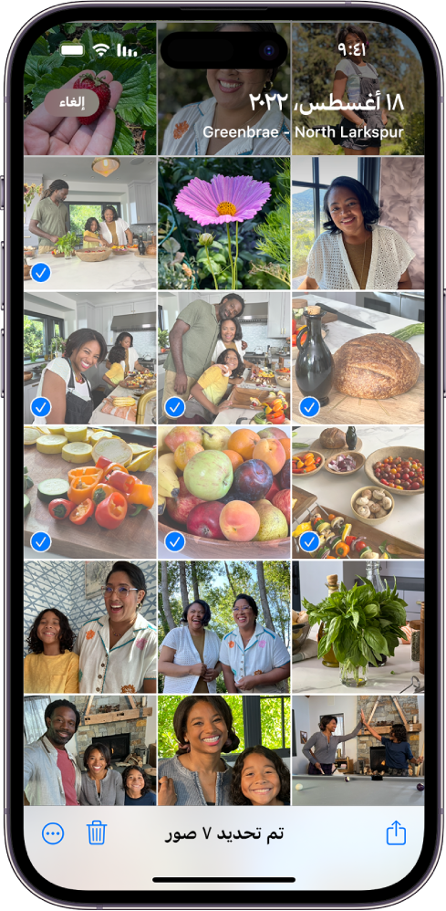 تمتلئ شاشة iPhone بشبكة من الصور، تم تحديد سبع منها. تظهر في الجزء السفلي من الشاشة أزرار المشاركة والحذف والمزيد.