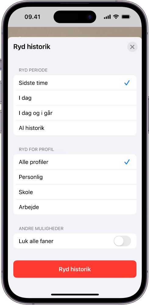 Menuen Ryd historik. Under Ryd periode er Sidste time valgt. Alle profiler er valgt under Ryd for profil. Knappen Ryd historik findes nederst på skærmen.