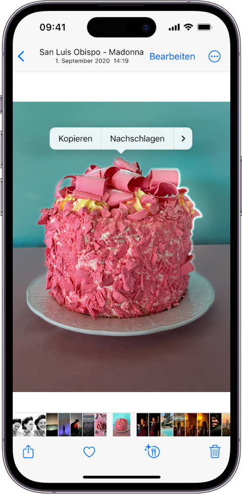 In der Fotos-App-Mediathek ist ein Foto geöffnet. Das Motiv in der Fotomitte ist eingerahmt und die Tasten „Kopieren“, „Nachschlagen“, „Sticker hinzufügen“ und „Teilen“ erscheinen darüber.