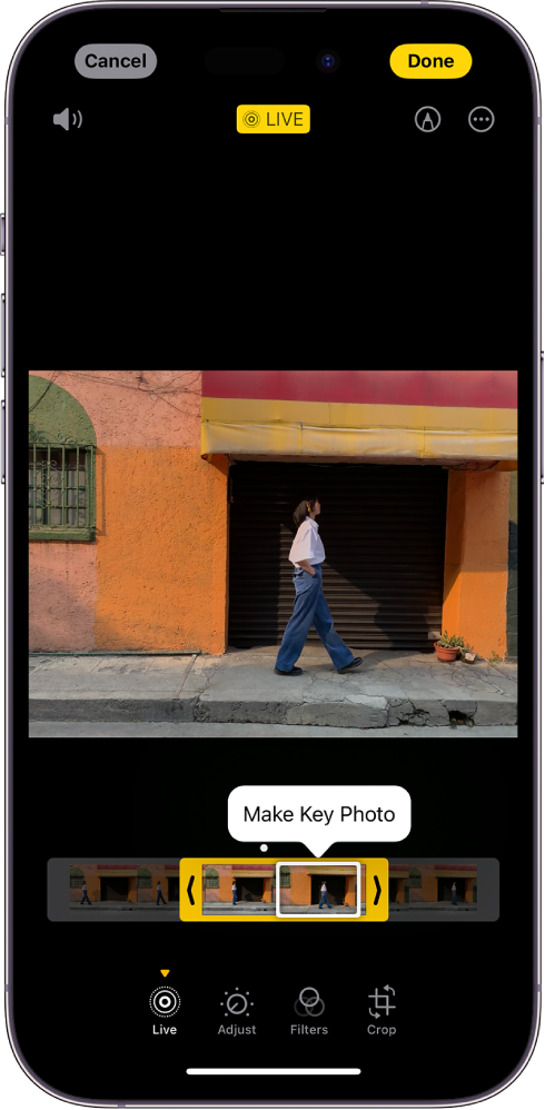 A Live Photo screen with the Live Photo in the center. Beneath the photo is the frame viewer with the Make Key Photo button active. On either end of the frame viewer are two arrows that allow you to trim the Live Photo. At the bottom of the screen are the Live, Adjust, Filters, and Crop buttons. The Live button is selected. The Cancel button is in the top-left corner of the screen and the Done button is in the top-right corner of the screen. Also at the top of the screen, from left to right, are the Mute, Live, Markup, and Plug-ins buttons.