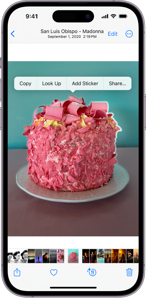 A photo is open in the Photos app library. The subject in the center of the photo is outlined and the Copy, Look Up, Add Sticker, and Share buttons appear above it.