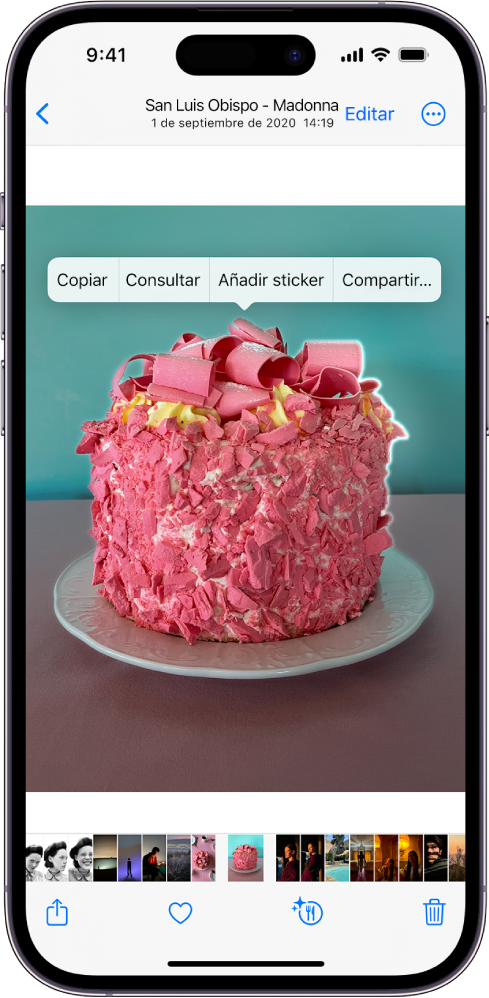 Hay una foto abierta en la fototeca de la app Fotos. El sujeto del centro de la foto está delineado, y los botones Copiar, Consultar, “Añadir sticker” y Compartir aparecen encima.