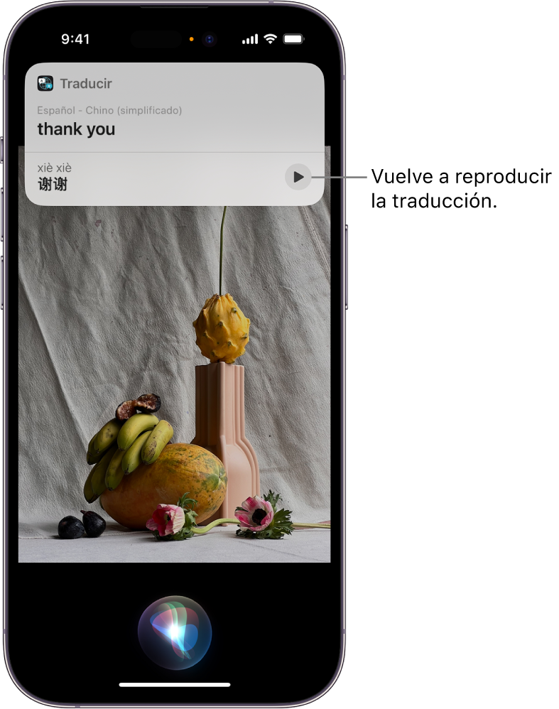 Pantalla de un iPhone con el indicador de escucha de Siri en la parte inferior y, en la parte superior, una respuesta de Siri en forma de una traducción [de español a chino mandarín].
