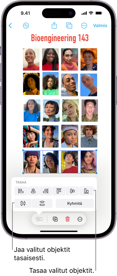 Freeform-taulussa on ruudukkona kuvia. Useita kuvia on valittuna, ja tasaus- ja ryhmittelytyökalut näkyvät niiden yläpuolella.