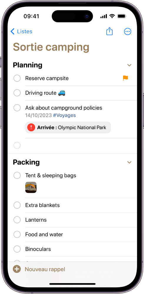 Une liste pour un séjour en camping dans Rappels. Des tags, lieux, drapeaux et photos sont joints à certains éléments. Le bouton « Nouveau rappel » se trouve en bas à gauche.