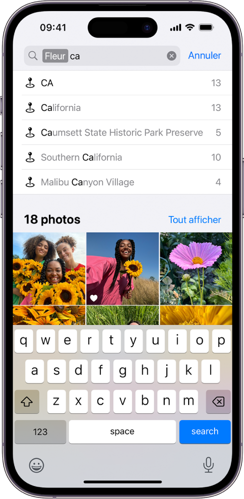 L’écran Rechercher de l’app Photos. En haut de l’écran se trouve le champ de recherche, avec les résultats de la recherche affichés en dessous.