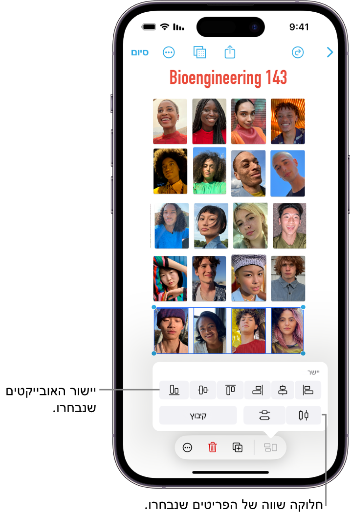 ללוח Freeform שמלא ברשת של תמונות. ניתן לראות שמספר תמונות נבחרו, והכלים ליישור ולקיבוץ מופיעים מעליהם.