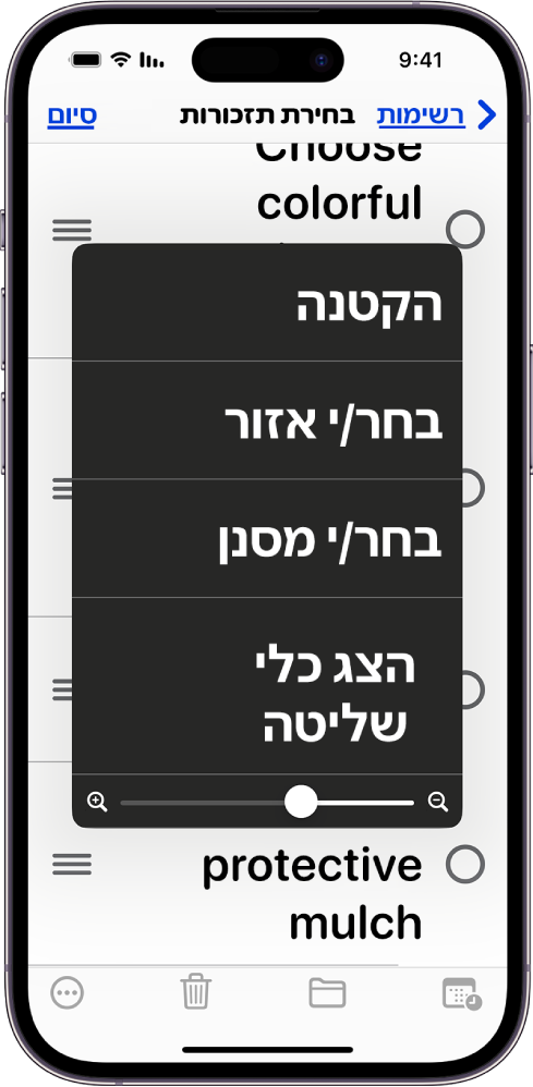 iPhone שמציג את התפריט ״הגדלה/הקטנה״.