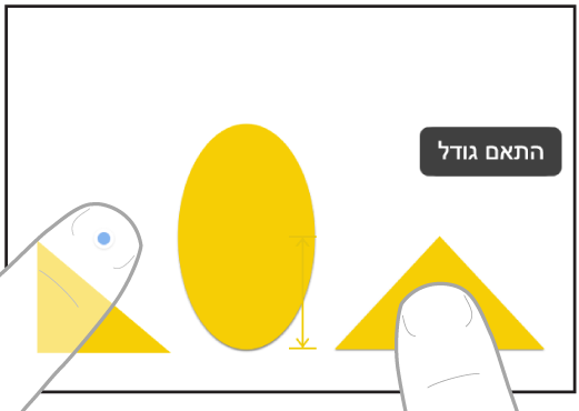 שתי אצבעות בשתי ידיים שבוחרות ומתאימות את הגדלים של שני פריטים ב-Freeform.