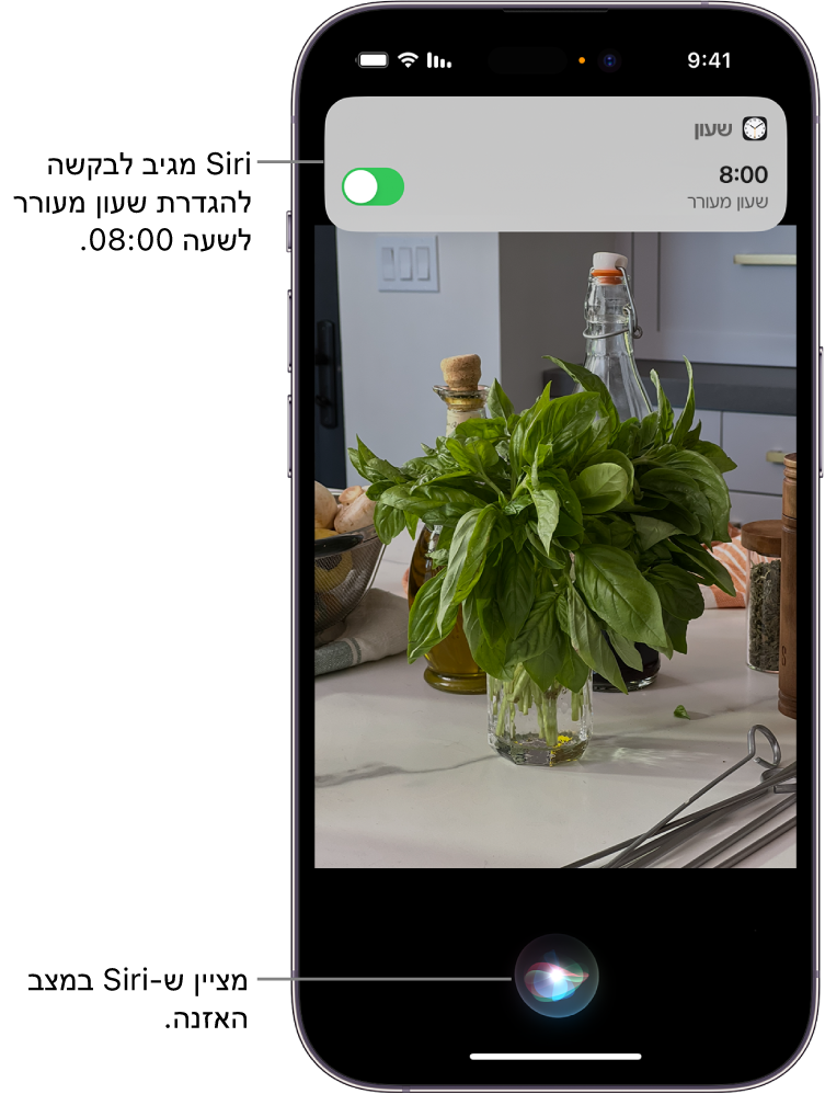 מסך של iPhone. ליד החלק העליון של המסך מופיע עדכון מהיישום ״שעון״ המראה כי הופעל שעון מעורר לשעה 08:00. אייקון בתחתית המסך מראה כי Siri במצב האזנה.