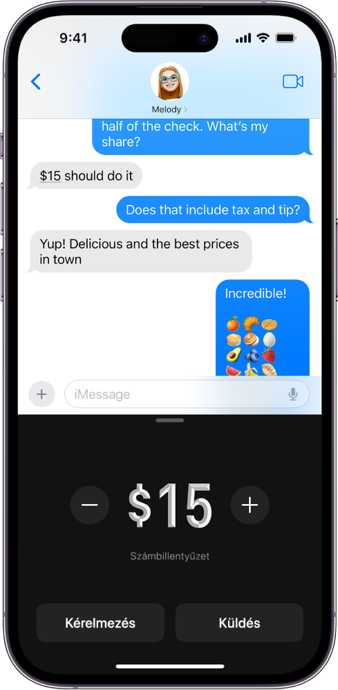 Egy iMessage-beszélgetés, alul a megnyitott Apple Payjel.