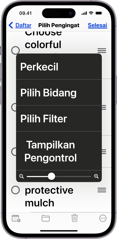 iPhone yang menampilkan menu Zoom.