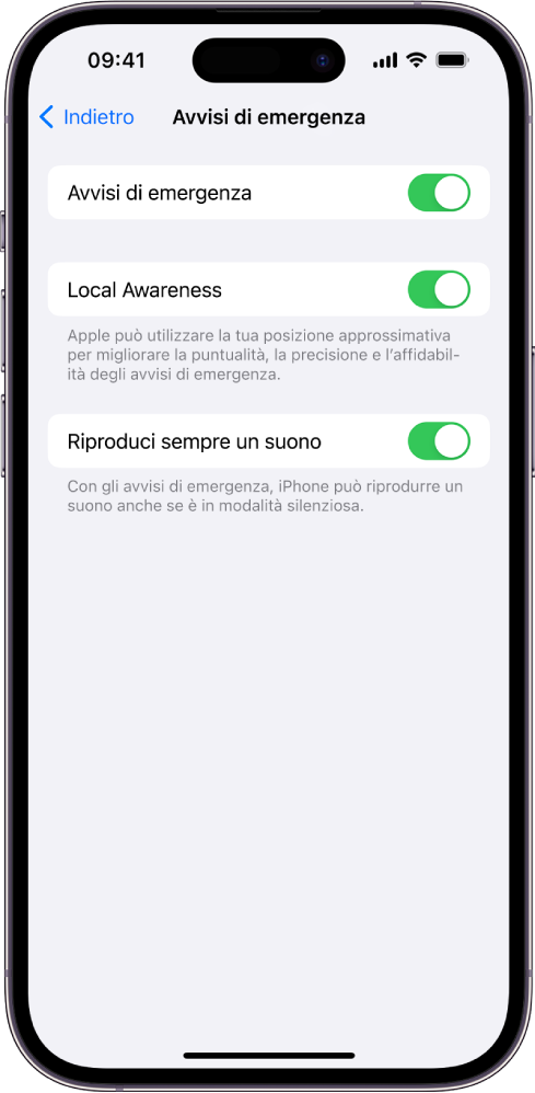 La schermata di “Avvisi di emergenza” con le opzioni “Avvisi di emergenza”, “Rilevamento della posizione” e “Riproduci sempre un suono” attivate.