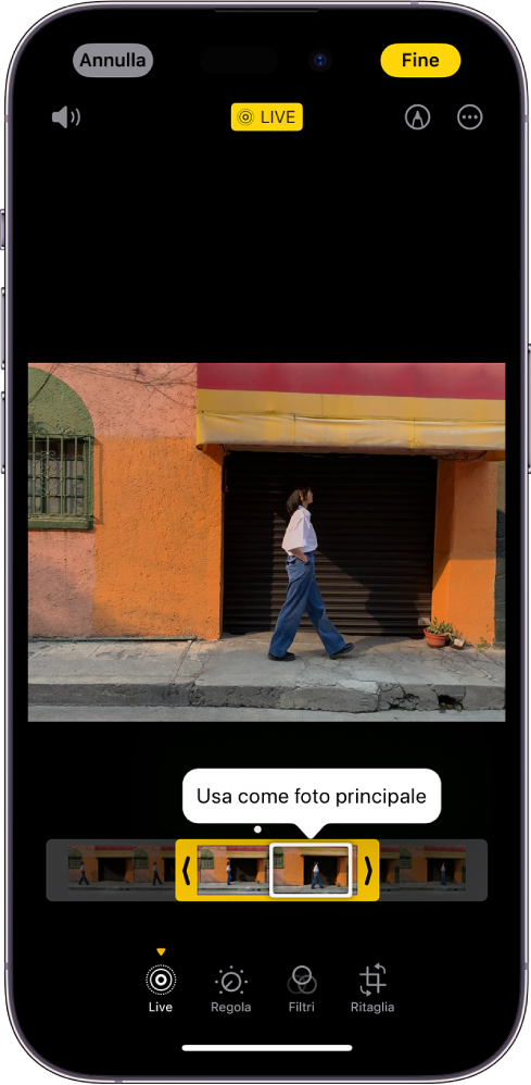 Una schermata di Live Photo con la Live Photo al centro. Sotto la foto è presente il visore fotogrammi con il pulsante “Foto principale” attivo. Alle estremità del visore fotogrammi sono presenti due frecce che ti permettono di regolare la lunghezza della Live Photo. Nella parte inferiore dello schermo sono presenti i pulsanti Live, Regola, Filtri e Ritaglia. Il pulsante Live è selezionato. Nell’angolo in alto a sinistra dello schermo è presente il pulsante Annulla e nell’angolo in alto a destra è presente il pulsante Fine. Nella parte superiore dello schermo sono presenti anche, da sinistra a destra, i pulsanti “Disattiva audio”, Live, Modifica e Plugin.