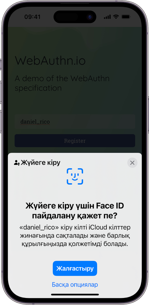 Аккаунт үшін кіру кілт сақталған кезде пайда болатын кіру экраны. «Жалғастыру» және «Басқа опциялар» түймелері экранның төменгі жағында орналасқан.