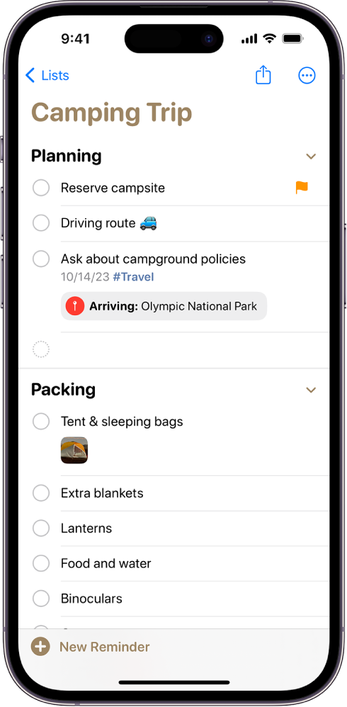 Stovyklavimo kelionės kontrolinis sąrašas programoje „Reminders“. Kai kurie elementai turi žymas, vietas, vėliavas ir nuotraukas. Naujo priminimo mygtukas pateiktas apatiniame kairiajame kampe.