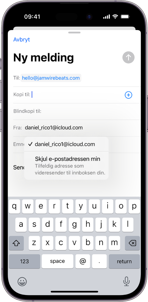 Det utarbeides et e-postutkast. Fra-feltet er markert, og det vises to valg nedenfor – en privat e-postadresse og Skjul e-postadressen min.