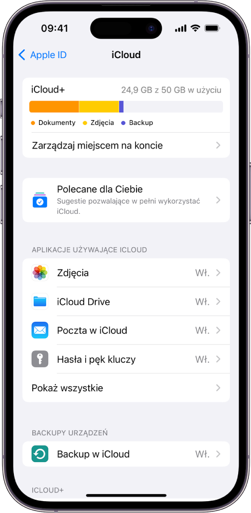 Ekran ustawień iCloud zawierający wskaźnik wykorzystania dostępnego miejsca oraz listę aplikacji i funkcji, których można używać z iCloud.