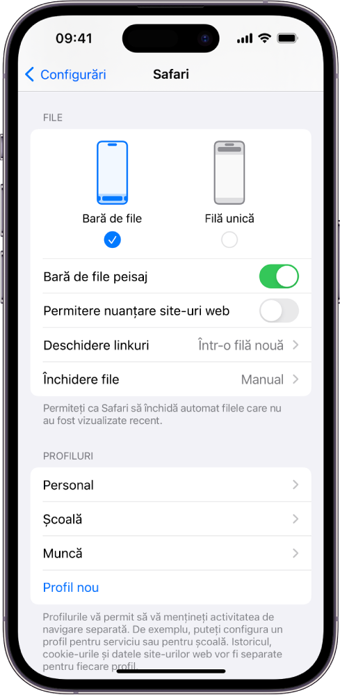Ecran afișând două opțiuni de aranjament pentru Safari: Bară de file și Filă unică.