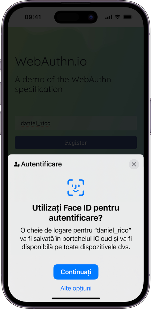 Un ecran de autentificare care este afișat atunci când o cheie de logare este salvată pentru cont. Butoanele Continuați și Alte opțiuni se află în partea de jos a ecranului.