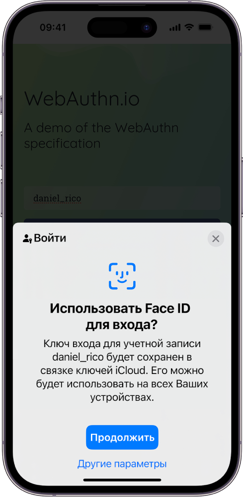 Экран входа, который отображается при сохранении ключа входа для учетной записи. В нижней части экрана расположены кнопки «Продолжить» и «Другие варианты».