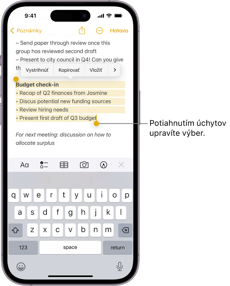 V apke Poznámky je označený text v poznámke. Nad označeným textom sú tlačidlá Vystrihnúť, Kopírovať, Vložiť a AutoFill. Označený text je zvýraznený a na oboch jeho koncoch sú úchyty na úpravu označenia.