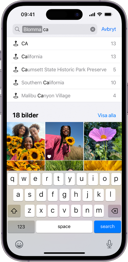 Sökskärmen i appen Bilder. Överst på skärmen finns ett sökfält och nedanför det finns sökträffarna.