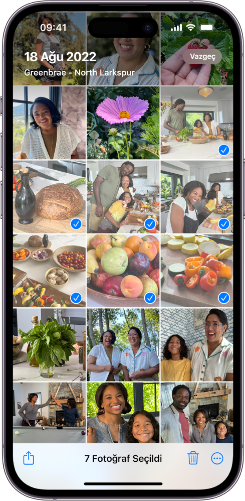 iPhone ekranı fotoğraflardan oluşan bir ızgara ile dolu; bunlardan yedi tanesi seçili. Ekranın en altında Paylaş, Sil ve Daha Fazla düğmeleri bulunuyor.