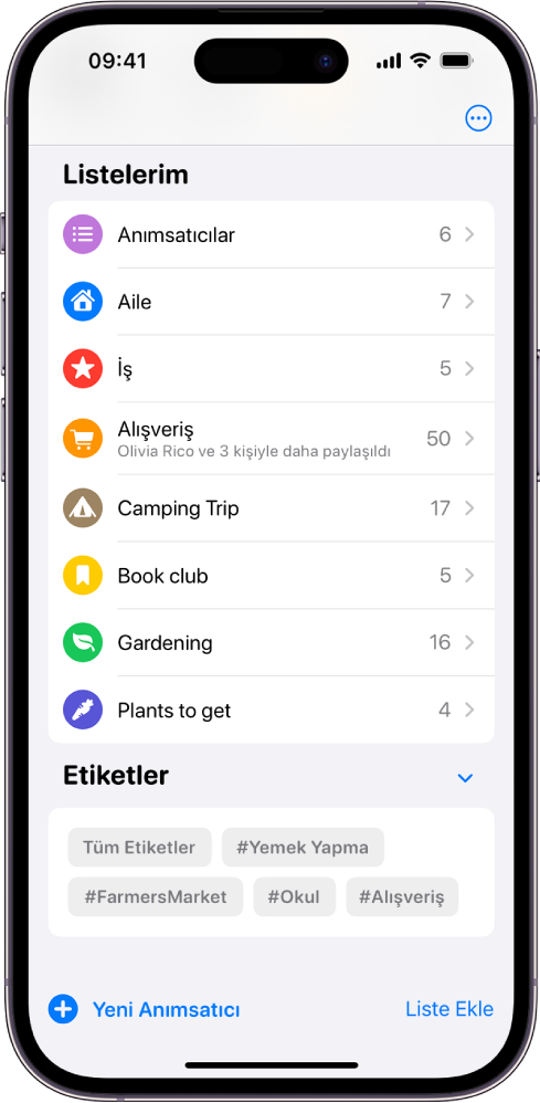 Anımsatıcılar’da birçok listenin gösterildiği bir ekran. Etiket Tarayıcı en altta.