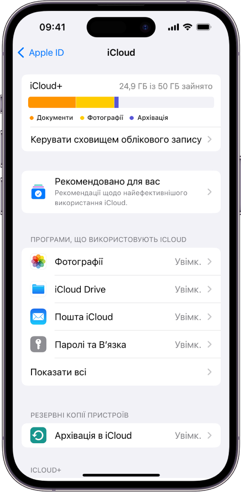 Екран параметрів iCloud, на якому відображається лічильник сховища iCloud, а також список функцій, зокрема Фотографії, iCloud Drive та Архівація в iCloud, які можна використовувати з iCloud.