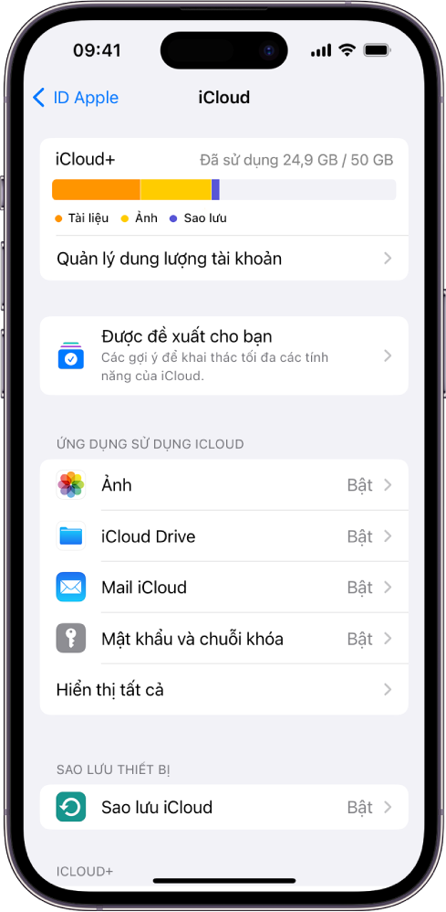 Màn hình cài đặt iCloud đang hiển thị công cụ đo dung lượng iCloud và một danh sách các ứng dụng và tính năng có thể sử dụng được với iCloud.