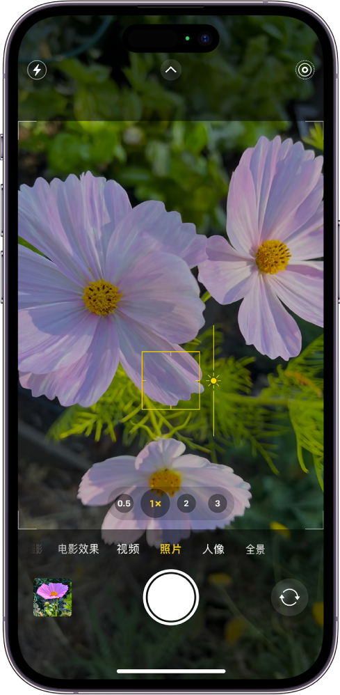处于“照片”模式的“相机”。在取景器中，焦点已锁定到主体，主体旁边是用于调整亮度级别的滑块。