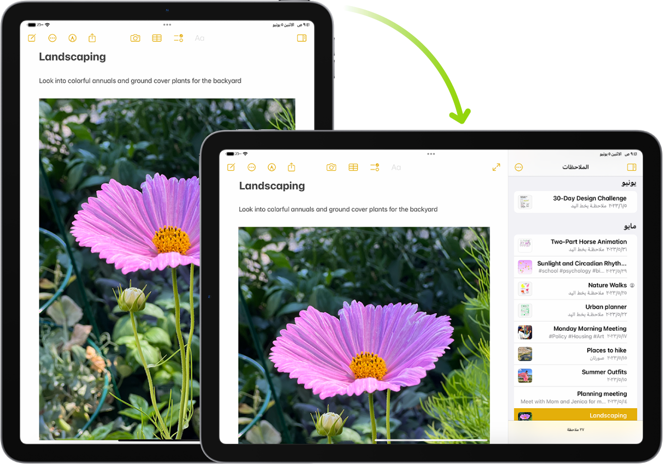 في الخلفية،يعرض iPad شاشة الملاحظات في الاتجاه الرأسي؛ وفي المقدمة، يتم تدوير iPad ويعرض شاشة الملاحظات في الاتجاه الأفقي.