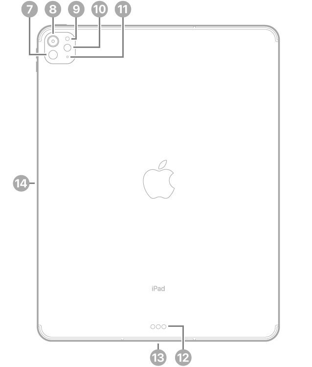 Изглед отзад на iPad Pro 13-инча (M4) с надписи за LiDAR, задната камера, задния сензор за околно осветление, светкавицата и микрофона горе вляво, съединители Smart Connector и USB-C долу в средата и магнитен съединител за Apple Pencil вляво.