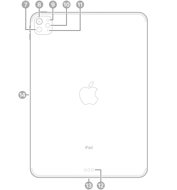 Изглед отзад на iPad Pro 11-инча (M4) с надписи за LiDAR, задната камера, задния сензор за околно осветление, светкавицата и микрофона горе вляво, съединители Smart Connector и USB-C долу в средата и магнитен съединител за Apple Pencil вляво.