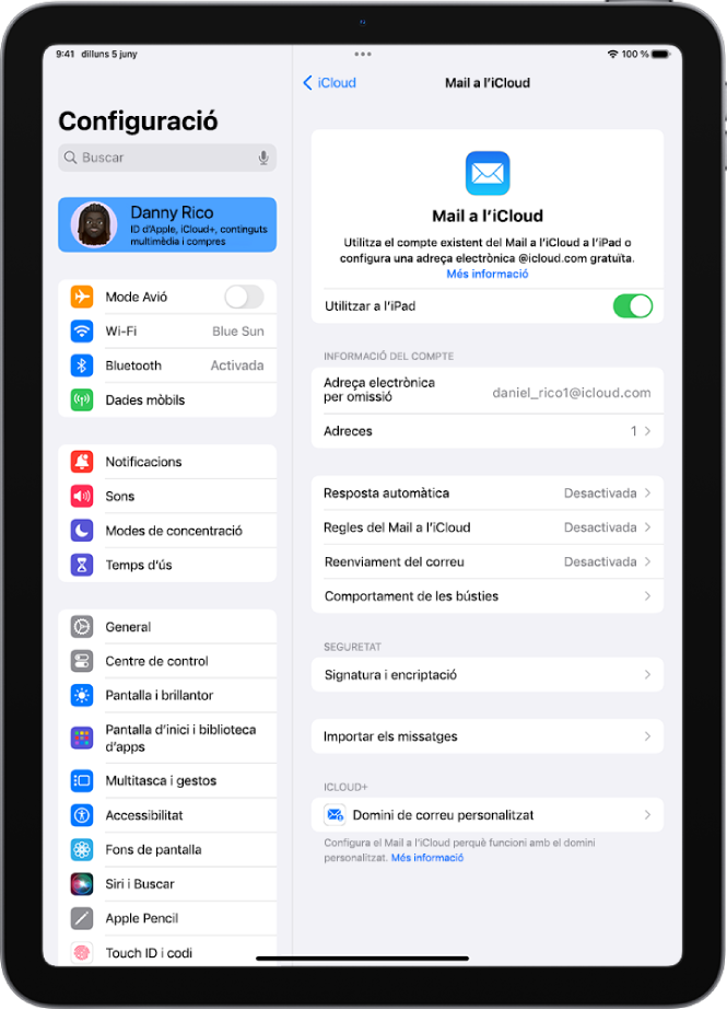 L’app Configuració, oberta per la pantalla “Mail a l’iCloud”. “Domini de correu personalitzat” es troba a la part inferior del menú.