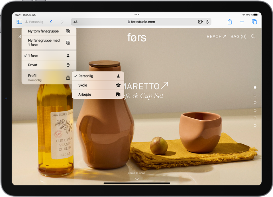 I Safari er menuen Fanegruppe til venstre for søgefeltet åben. Nederst i menuen er Profil valgt, og en menu viser profilerne Personlig, Skole og Arbejde.